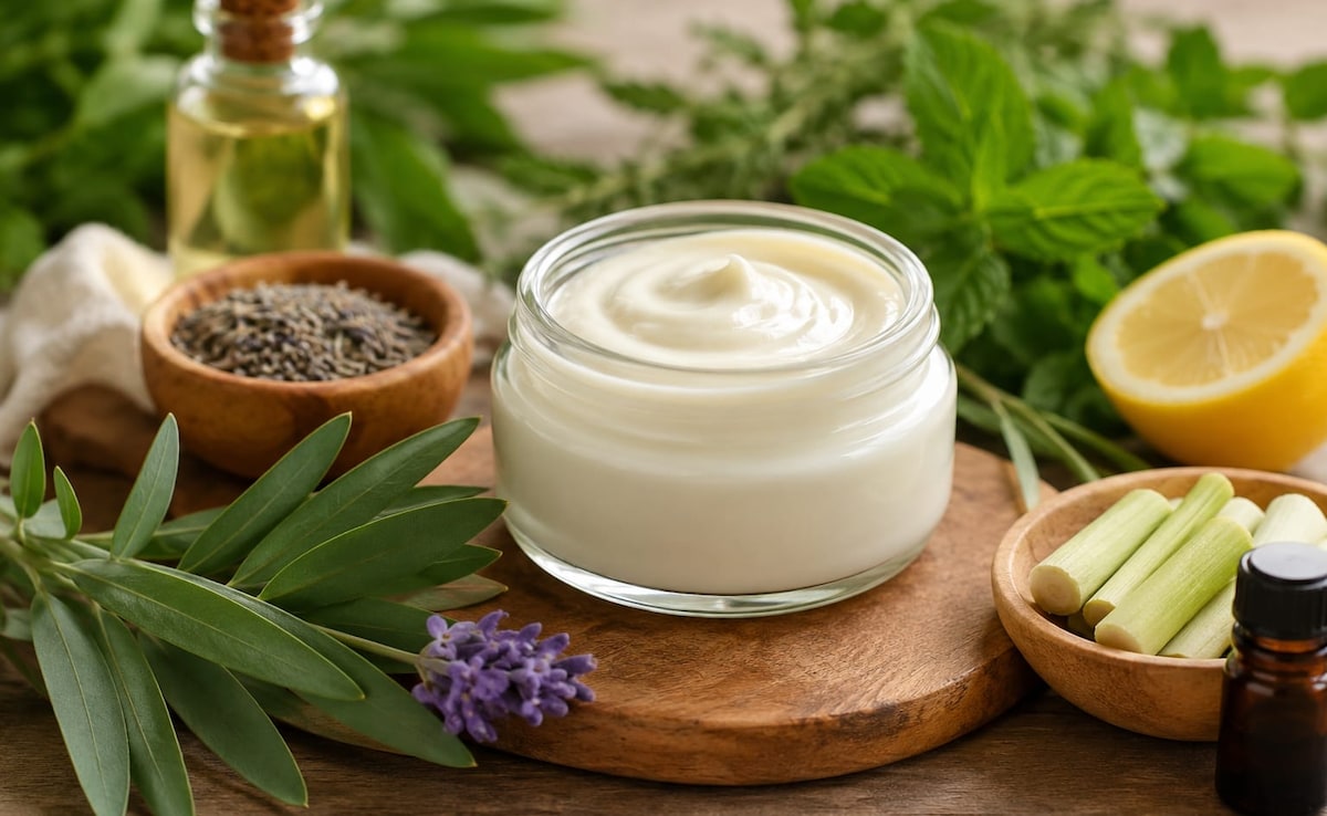 Mosquito Repellent Cream: घर पर बनाएं नेचुरल मच्छर भगाने वाली क्रीम, बिना केमिकल के मच्छरों से मिल सकती है राहत