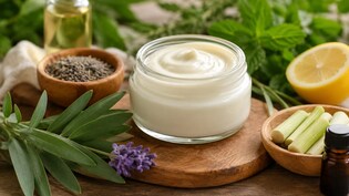 Mosquito Repellent Cream: घर पर बनाएं नेचुरल मच्छर भगाने वाली क्रीम, बिना केमिकल के मच्छरों से मिल सकती है राहत