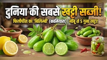 दुनिया की सबसे खट्टी सब्जी किस देश में उगती है? टेस्ट करने से पहले 10 बार सोचेंगे