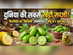दुनिया की सबसे खट्टी सब्जी किस देश में उगती है? टेस्ट करने से पहले 10 बार सोचेंगे