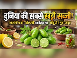 दुनिया की सबसे खट्टी सब्जी किस देश में उगती है? टेस्ट करने से पहले 10 बार सोचेंगे