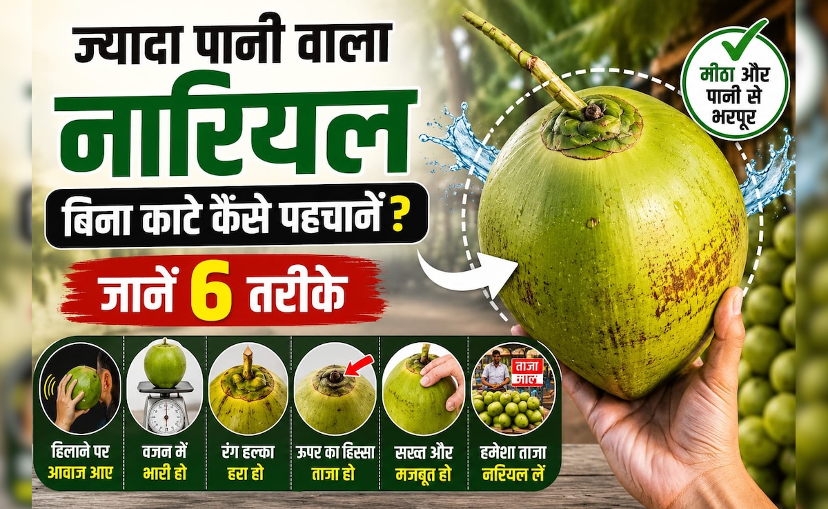पानी वाला नारियल कैसे पहचानें? खरीदते वक्त ऐसे पहचानें पानी से भरा नारियल, वरना पैसे हो जाएंगे बर्बाद