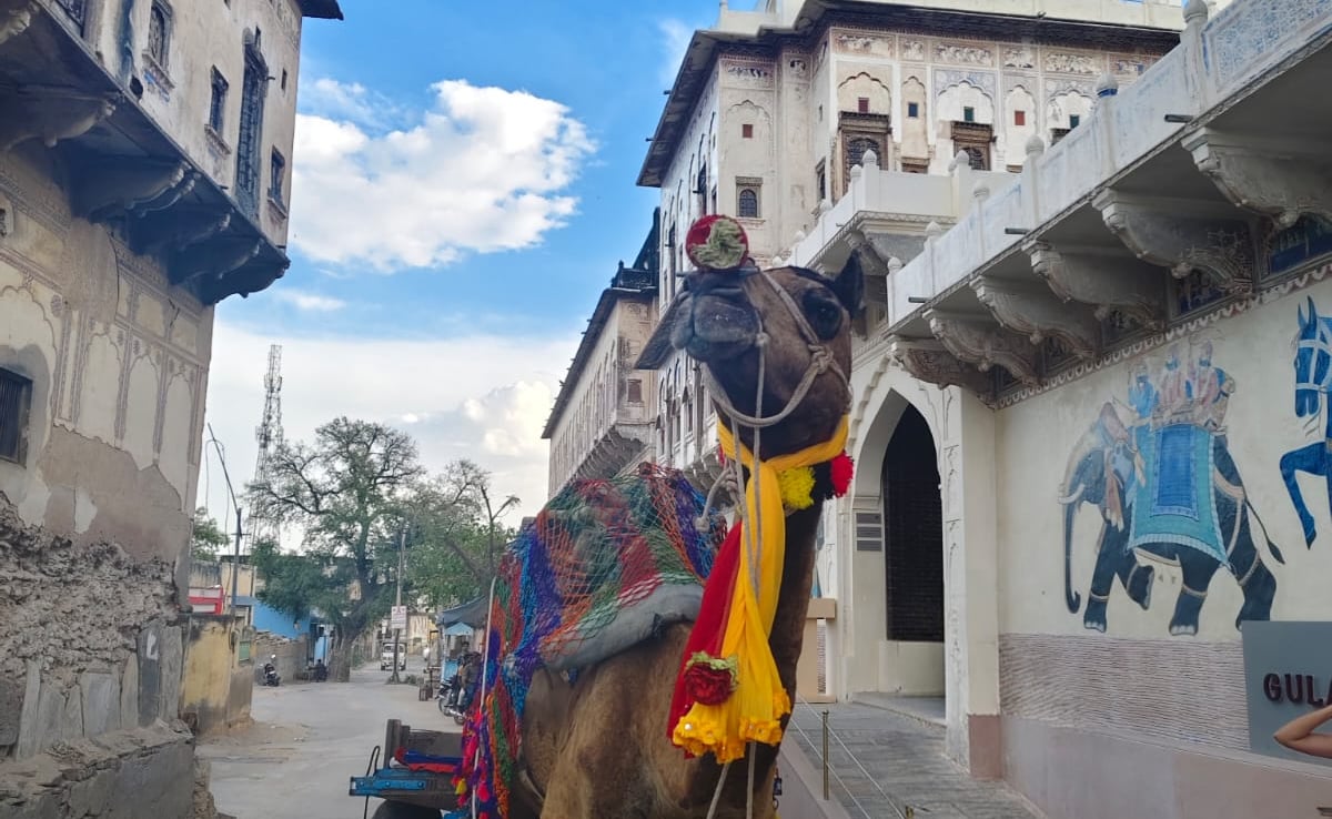 Gulab Haveli, Mandawa