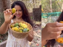 Watch: Sameera Reddy Cooks A Tangy Goan Wild Mango Coconut Curry