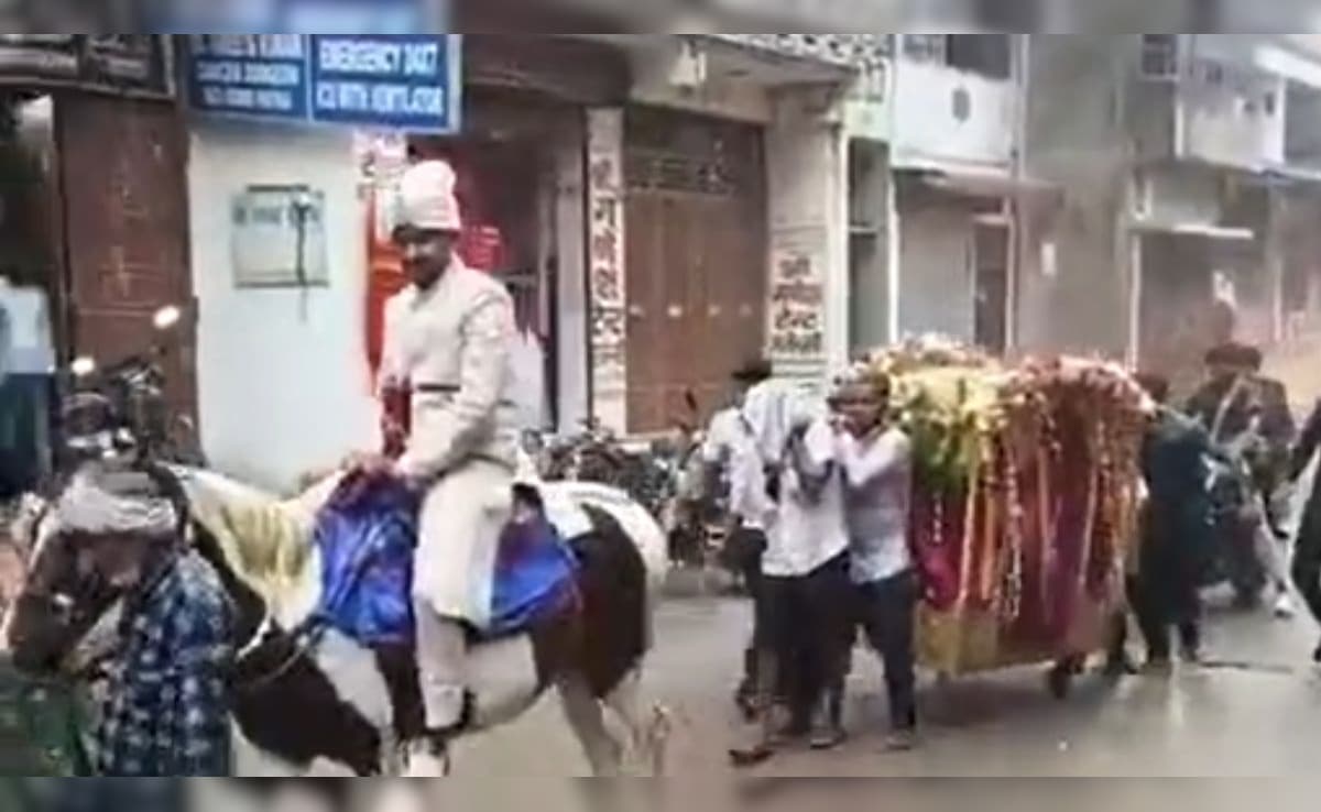 दूल्हा तेज बारिश के बीच घोड़े पर सवार 