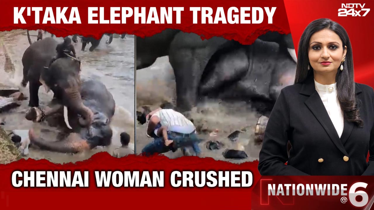 Karnataka Tragedy: Woman Crushed To Death After Elephants Clash