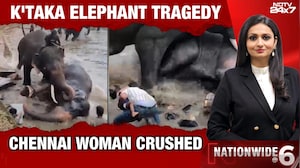 Karnataka Tragedy: Woman Crushed To Death After Elephants Clash