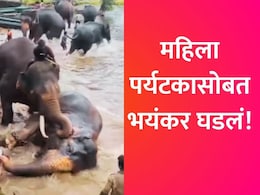Dubare Camp : हत्तींना जवळून पाहण्याचा आनंद वेदनेत बदलला! दुबारे कॅम्पमधील महिला पर्यटकाचा निघृणपणे चिरडून मृत्यू