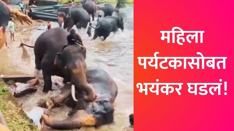 Dubare Camp : हत्तींना जवळून पाहण्याचा आनंद वेदनेत बदलला! दुबारे कॅम्पमधील महिला पर्यटकाचा चिरडून मृत्यू