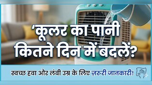 मच्छर vs कूलर: 2 या 3? कूलर का पानी कितने दिन में चेंज कर लेना चाहिए?