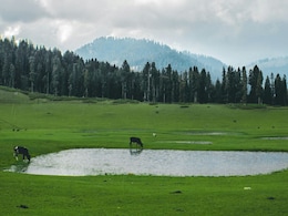 6 Indian Destinations That Make You Feel You're In Switzerland