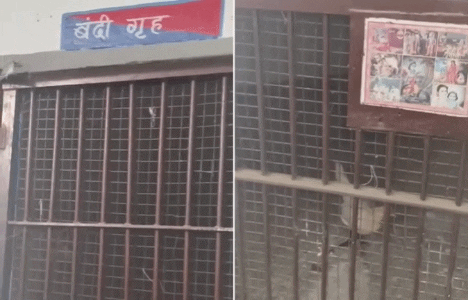 VIDEO: हवालात में कैद मुर्गी! अजब एमपी की गजब पुलिस, लॉक अप को ही बना दिया 'दड़बा'