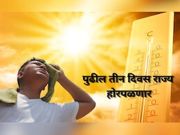 Heat Alert: पुढचे 3 दिवस उष्णतेची लाट, 'या' जिल्ह्यांना धोक्याचा इशारा, तुमचा जिल्हा यात आहे का?