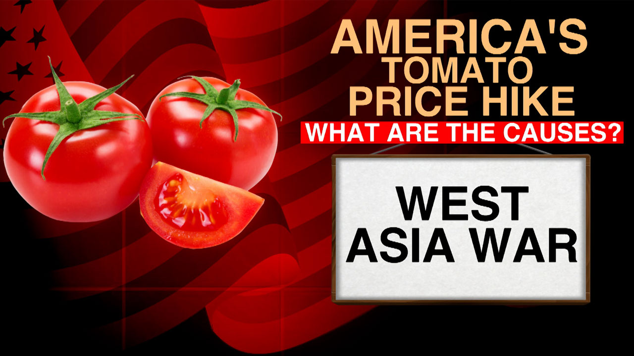 America's Tomato Crisis: Prices Soar, Kitchens Feel The Heat
