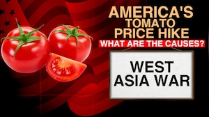 America's Tomato Crisis: Prices Soar, Kitchens Feel The Heat