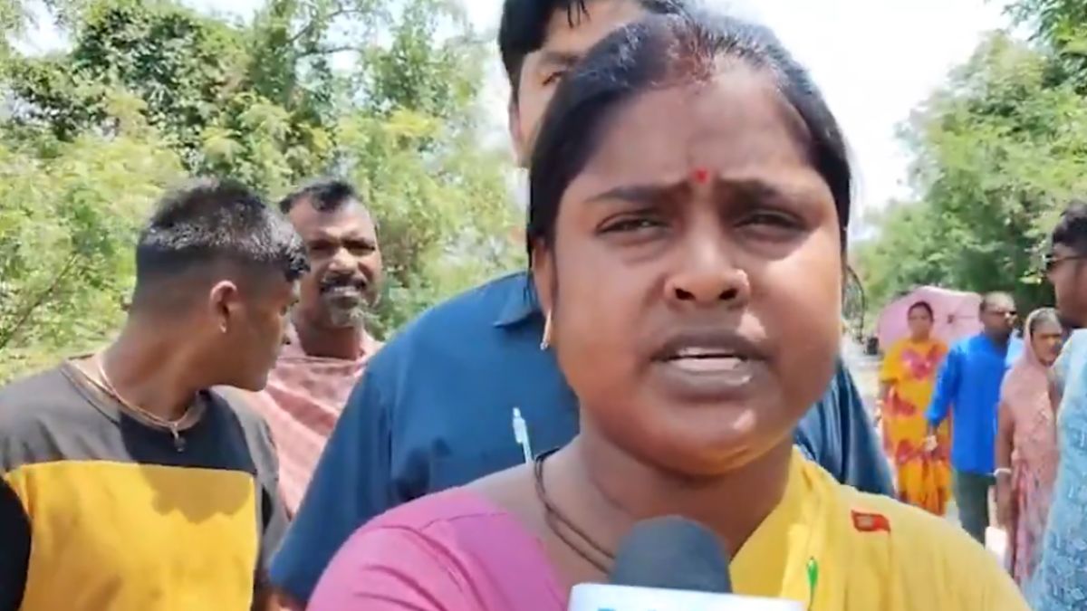 "Show Birth Certificates Of Cows," Says Bengal BJP MLA, Trinamool Reacts