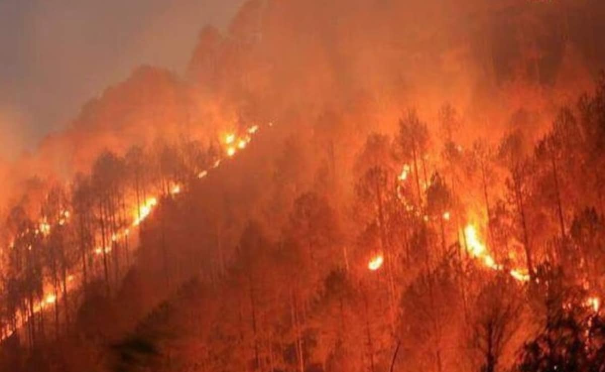 Forest Fire in Uttarakhand