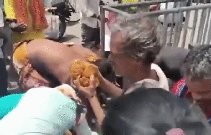 जगन्नाथ धाम में &lsquo;खाजा लूट&rsquo; का VIDEO, पुलिस कार्रवाई के बाद मिनटों में खाली हुई मिठाई