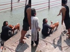 हरिद्वार: गंगा में कुत्ता नहलाने पर मचा बवाल, श्रद्धालुओं के विरोध के बावजूद बहस पर अड़ी महिला, VIDEO
