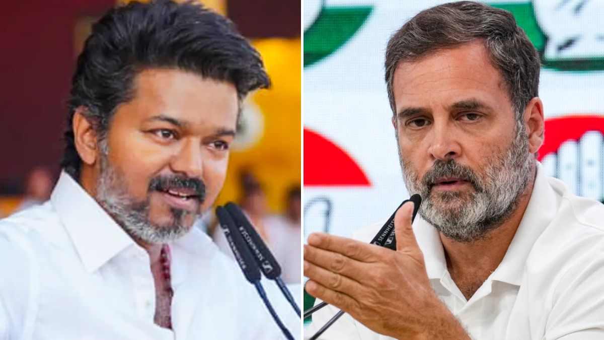 तमिलनाडु में विजय की TVK को समर्थन देगी कांग्रेस, शपथ ग्रहण में शामिल हो सकते हैं राहुल गांधी