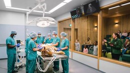 London Zoo Is Opening Its Vet Clinic To Visitors. Here's What You Could See