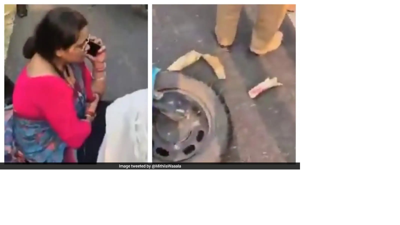 Teacher’s Scooter Crashes Into Wild Elephant In Uttarakhand, Tusk Shatters Into Three Pieces