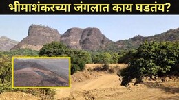 Pune News: पुण्यातील भीमाशंकर परिसरात घडतायत भयंकर घटना, स्थानिकांसह पर्यटकांची धडधड वाढली
