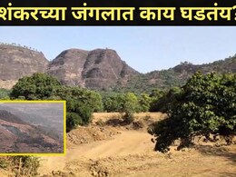 Pune News: पुण्यातील भीमाशंकर परिसरात घडतायत भयंकर घटना, स्थानिकांसह पर्यटकांची धडधड वाढली
