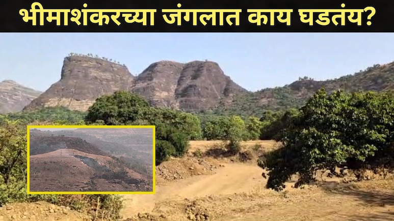 Pune News: पुण्यातील भीमाशंकर परिसरात घडतायत भयंकर घटना, स्थानिकांसह पर्यटकांची धडधड वाढली