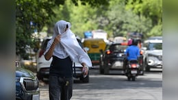 Weather Today Highlights: Strong Dust Storm, Rains Likely In Delhi Shortly, Says Weatherman