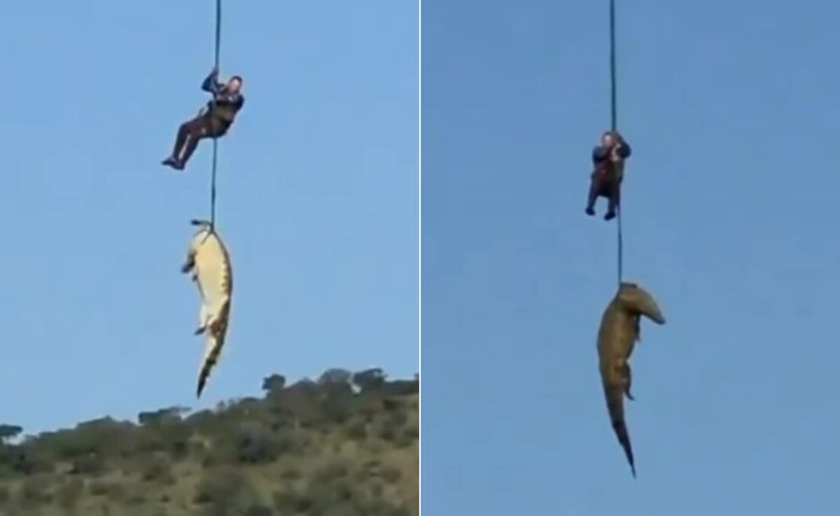 15 फीट के मगरमच्छ के पेट से मिला लापता होटल मालिक का शव! रोंगटे खड़े कर देगी डरावनी घटना