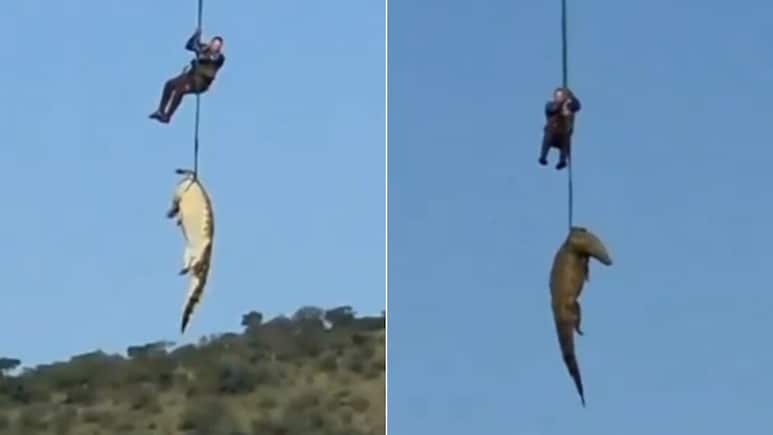 15 फीट के मगरमच्छ के पेट से मिला लापता होटल मालिक का शव! रोंगटे खड़े कर देगी डरावनी घटना