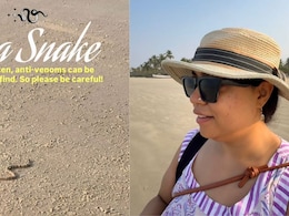 Watch: Woman Encounters Sea Snake While Walking On Benaulim Beach, Goa