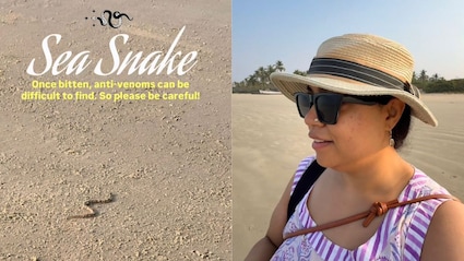 Watch: Woman Encounters Sea Snake While Walking On Benaulim Beach, Goa