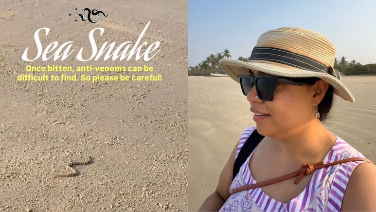 Watch: Woman Encounters Sea Snake While Walking On Benaulim Beach, Goa