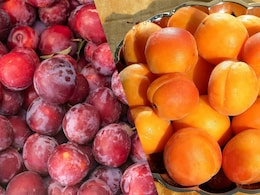 Alubukhara vs Khubani: Which Stone Fruit Can Diabetics Eat Safely?