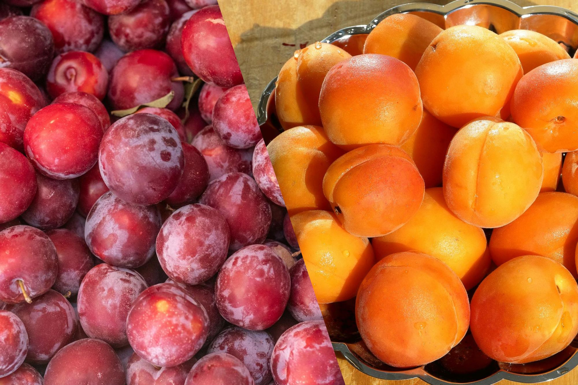 Plums and apricots should be consumed in a controlled dose by diabetics