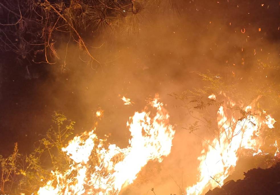 उत्तराखंड में धधक रहे जंगल! चीड़ के बाद अब 'पानी का बैंक' कहे जाने वाले 'बांझ' के वनों तक पहुंची आग