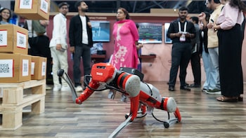 India Missed Out On AI And Now Its Run As Market Darling May Be Over