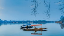 6 Best Things To Do In Kashmir In Summer