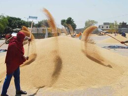 किसानों को राजस्थान सरकार ने दी बड़ी राहत, अब 19 जून तक MSP पर बेच सकेंगे गेहूं