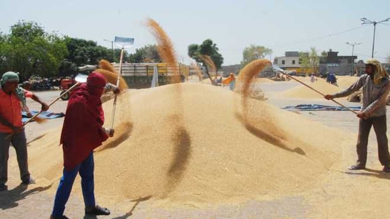 किसानों को राजस्थान सरकार ने दी बड़ी राहत, अब 19 जून तक MSP पर बेच सकेंगे गेहूं