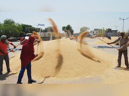 ओमान, यमन, यूएई, कतर, सउदी अरब में क्यों है MP के गेहूं की डिमांड; देश के गेहूं निर्यात में 40 फीसदी योगदान