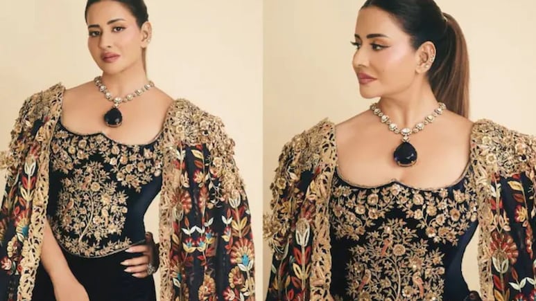 Met Gala: सेलिब्रिटी राहिले बाजूला, 'मेट गाला'मध्ये सुधा रेड्डींच्या नेकलेसचीच चर्चा, किंमत ऐकून सारेच गपगार