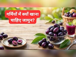 जामुन है डायबिटीज का दुश्मन! गर्मियों में रोज खाएंगे तो मिलेंगे ये 6 बड़े फायदे