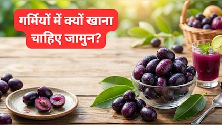 जामुन है डायबिटीज का दुश्मन! गर्मियों में रोज खाएंगे तो मिलेंगे ये 6 बड़े फायदे