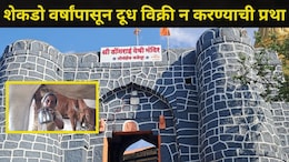 Sangli News: सांगलीच्या 'या' गावात घडतात अघटित घटना..एक थेंबही दूध विकलं जात नाही, कारण वाचून हादरूनच जाल
