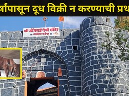 Sangli News: सांगलीच्या 'या' गावात घडतात अघटित घटना..एक थेंबही दूध विकलं जात नाही, कारण वाचून हादरूनच जाल
