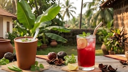 Sol Kadhi Vs Kokum Sharbat: Which Konkani Drink Hydrates And Improves Gut Function?