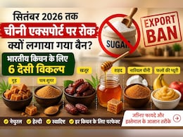 Sugar Export Ban: सितंबर 2026 तक चीनी एक्सपोर्ट पर रोक, अब भारतीय किचन में बढ़ सकती है इन 6 देसी मिठास की डिमांड